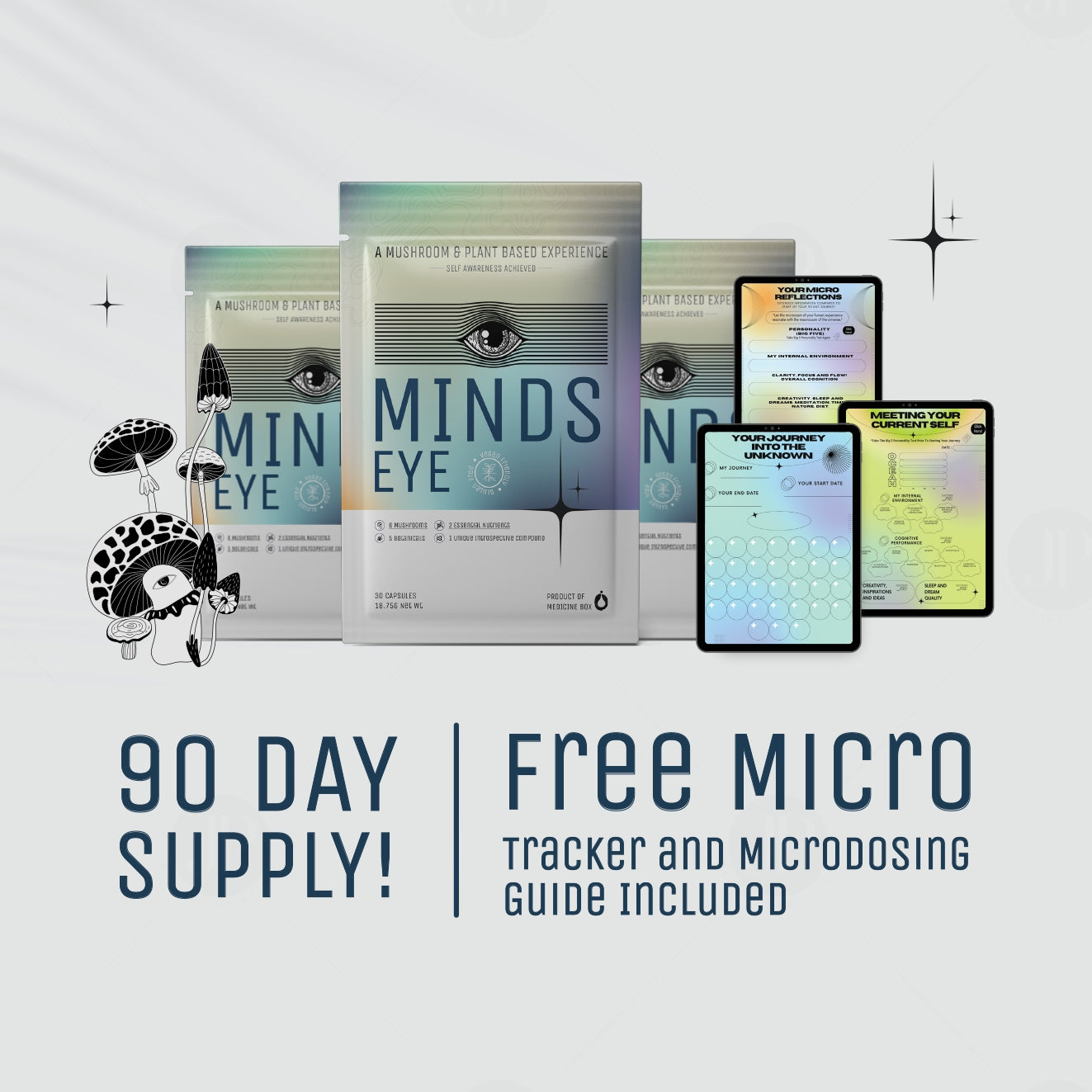 Coaching Program bundle