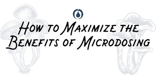 What can i do to maximize the benefits of microdosing?