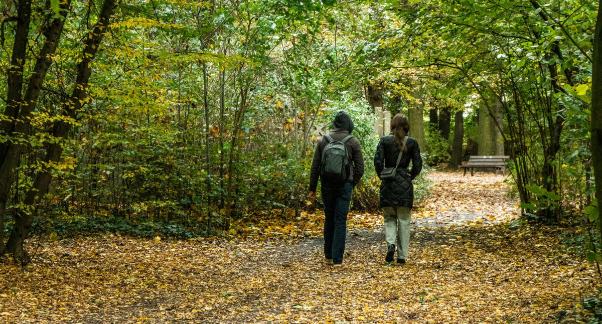  Two people walking together on a nature path in conversation — real microdosing transformation stories