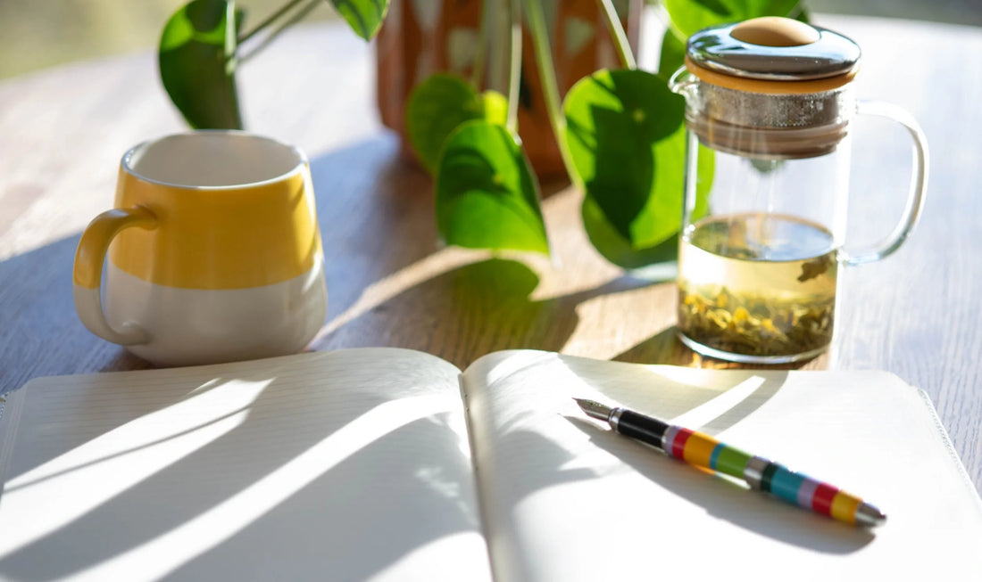 Open journal with pen on a minimal desk with plants, representing progress tracking in a Medicine Box blog