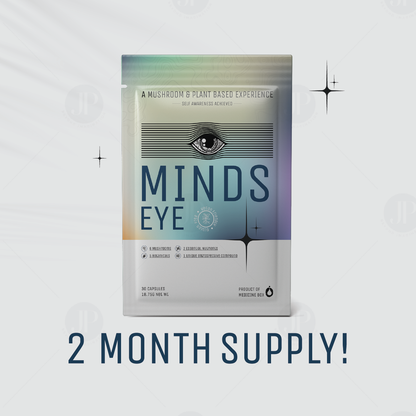 Minds Eye Introspection