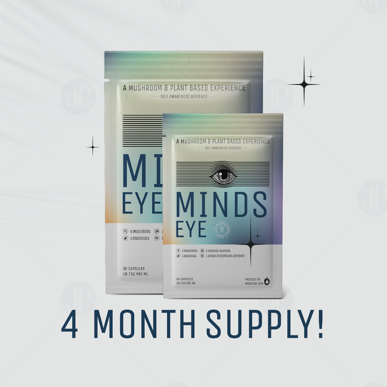 Minds Eye Introspection