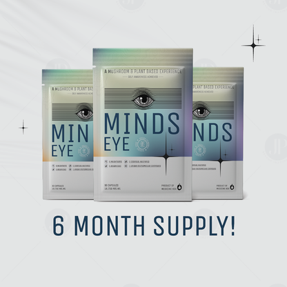 Minds Eye Introspection