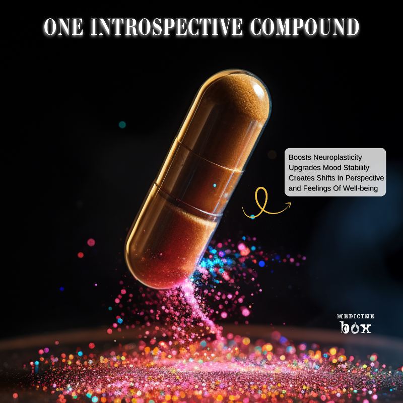 Minds Eye Introspection - The Ultimate Microdosing Capsule With An Introspective Compound