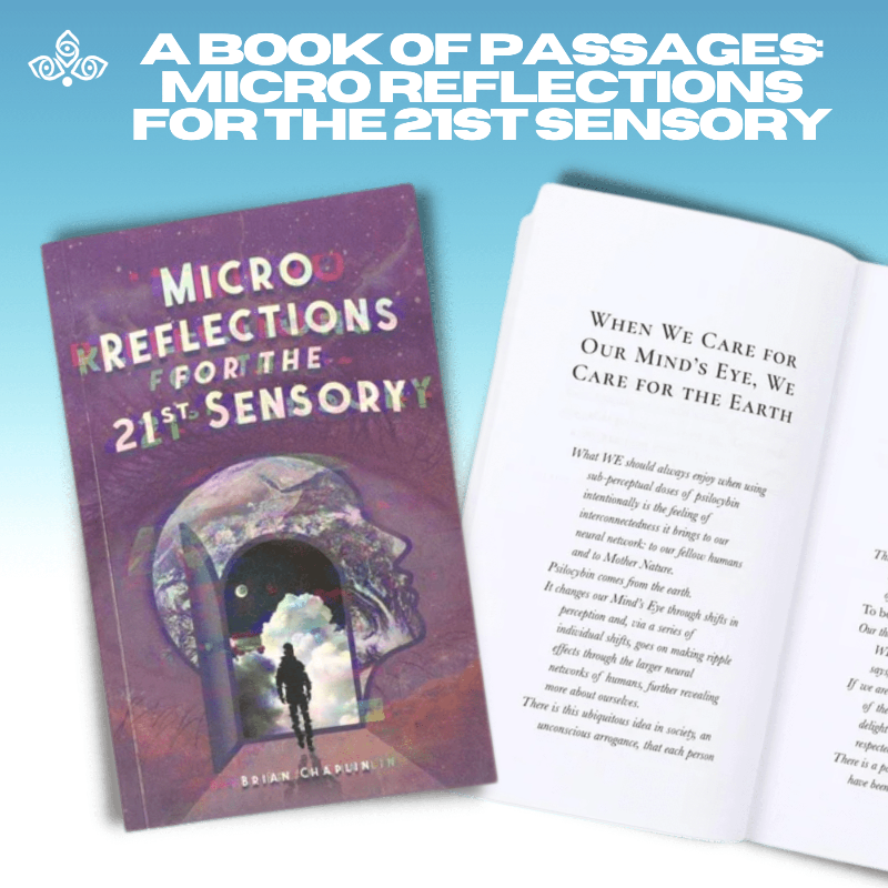 A Book of Passages: Micro Reflections For The 21st Sensory