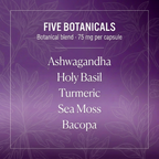 Botanical card with subtle botanical line art