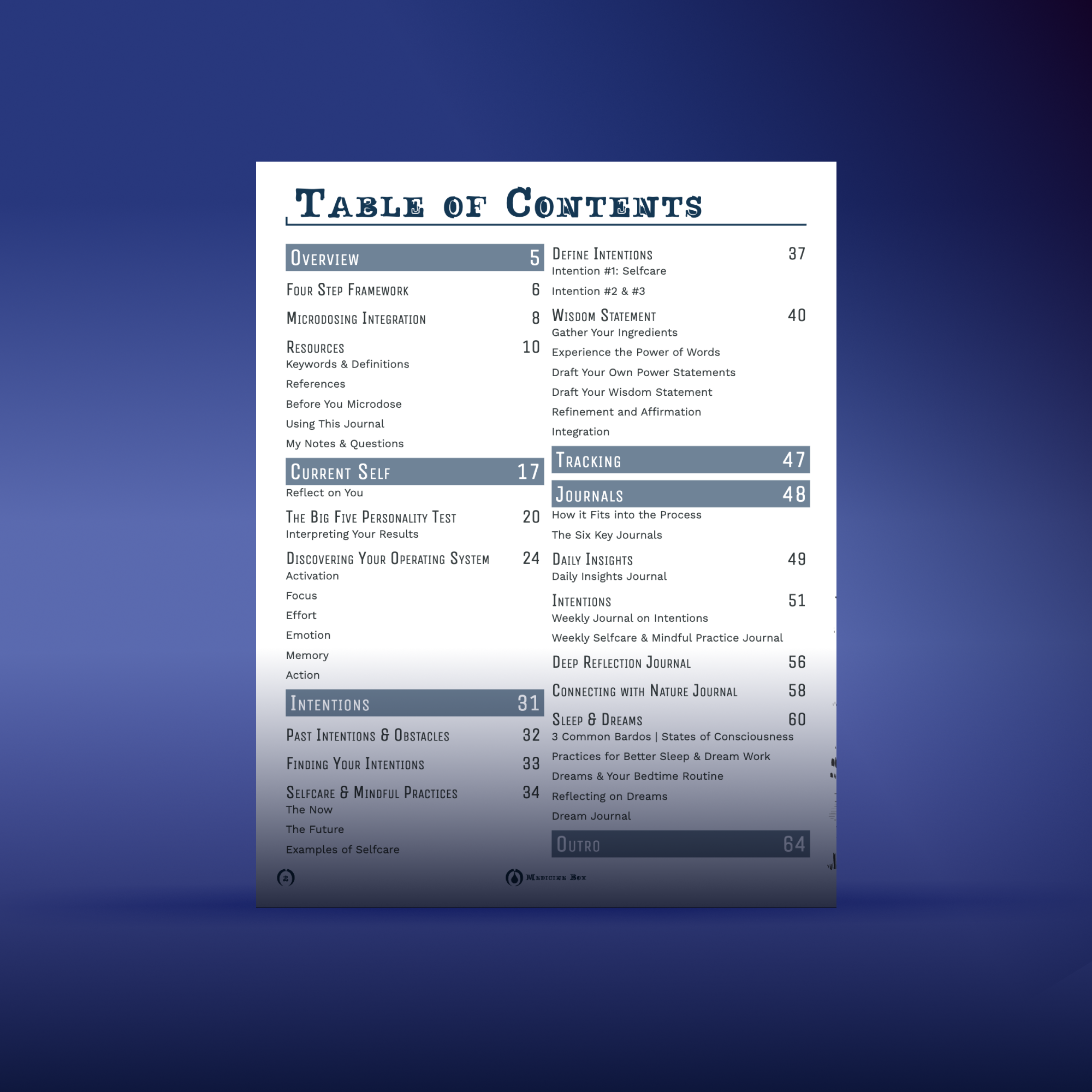 Mind’s Eye Integration Journal