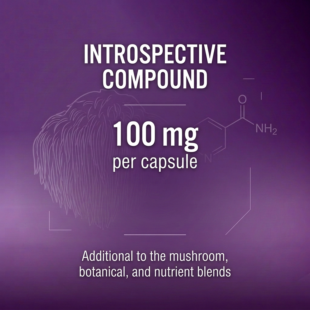 Introspective compound, 100 mg per capsule, additional to the other blends.