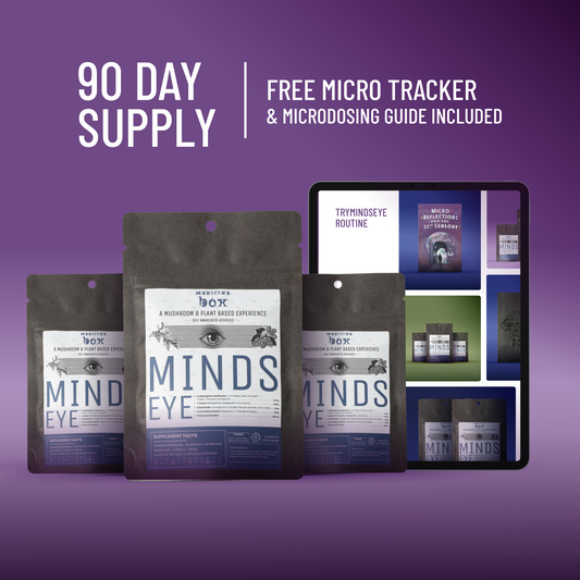 Coaching Program bundle