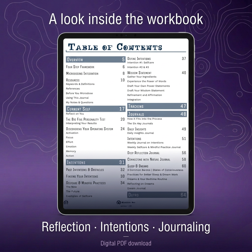 Table of contents preview for the digital integration workbook.